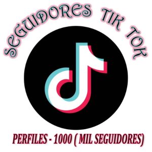 TIK TOK SEGUIDORES